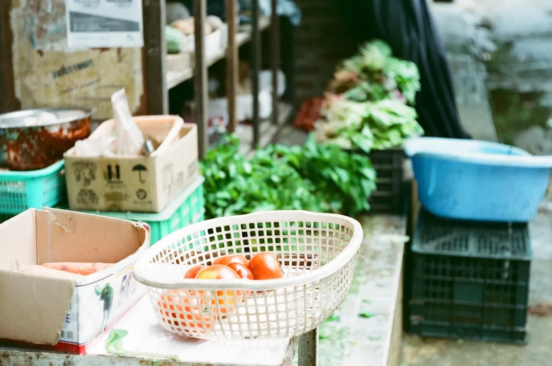 政企食堂承包运营方案:上海立分人员派驻与食材集采一体化服务解析正文配图 2